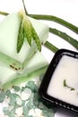 Aloe vera leaves, handmade soap, moisturizer and b Royalty Free Stock Photo