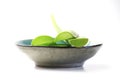 Aloe vera leaves in a small bowl on a white background