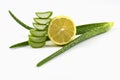 Aloe Vera and lemon, plants with therapeutic effect isolated on a white background Royalty Free Stock Photo