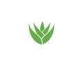 Aloe vera logo vector Royalty Free Stock Photo