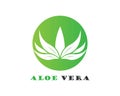 Aloe vera logo vector Royalty Free Stock Photo