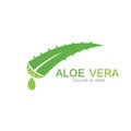 Aloe vera logo vector ilustration template Royalty Free Stock Photo