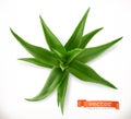 Aloe vera. Medicinal plant, vector icon Royalty Free Stock Photo