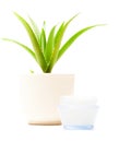 Aloe Vera Moisturizer Royalty Free Stock Photo