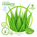 Aloe Vera Natural Cosmetics Poster