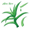 Aloe vera natutal herbal set Royalty Free Stock Photo