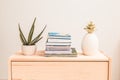 Aloe vera plant, books and figurine pineapple on a wooden shelf. Home gardening. Reading and relax