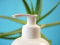 Aloe Vera plant and cream cosmetic, herbal medicine for skin treatment and use in spa for skin care. Herb in nature