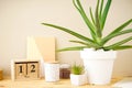 Stylish home interior mockup photo frame. Aloe vera plant and household items, close-up Royalty Free Stock Photo