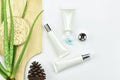 Aloe vera plant, Natural skincare beauty product .Cosmetic bottle containers with green herbal leaves.