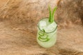 Aloe Vera plant sliced in glass on Coconut fiber Royalty Free Stock Photo