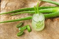 Aloe Vera plant sliced in glass on Coconut fiber Royalty Free Stock Photo