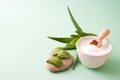 Aloe vera plant, slices of aloe on the stone, salt scrub in ceramic bowl