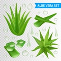 Aloe Vera Plant On Transparent Background
