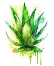 Aloe Vera plant in watercolor splash over white background, aloe juice concept. Generative AI illustration