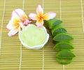 Aloe Vera, Plumeria Flower for Spa. Royalty Free Stock Photo