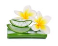 Aloe vera and Plumeria isolated on white Royalty Free Stock Photo