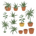 Aloe vera in a pot. Set of houseplants. 3D Vector. Royalty Free Stock Photo