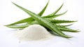 Aloe vera powder with fresh aloe vera leaf and slice isolated on white background. Raw materials for the cosmetics and Royalty Free Stock Photo