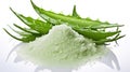 Aloe vera powder with fresh aloe vera leaf and slice isolated on white background. Raw materials for the cosmetics and Royalty Free Stock Photo