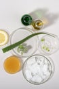 Aloe Vera skin facial mask ingredients. DIY homemade natural skin care products Royalty Free Stock Photo