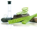 Aloe vera slice and gel tubes on small stones isolated on white background Royalty Free Stock Photo