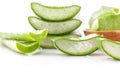 Aloe Vera slice natural spas ingredients for skin care.