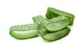 Aloe vera. Royalty Free Stock Photo