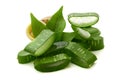 Aloe vera. Royalty Free Stock Photo