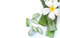 Aloe Vera sliced isolated Royalty Free Stock Photo