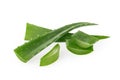 Aloe vera sliced plant isolated with clipping path Royalty Free Stock Photo
