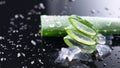 Aloe Vera slices closeup. Aloevera plant leaf gel, natural organic renewal cosmetics, alternative medicine Royalty Free Stock Photo