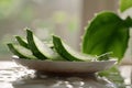 Aloe Vera Slices. Freshly cut slices of aloe vera, known for their soothing properties, on a white background