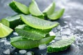 Aloe Vera Slices. Freshly cut pieces of aloe vera plant, known for its soothing and healing properties, isolated on a white