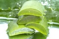 Aloe vera slices