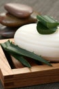 Aloe vera soap Royalty Free Stock Photo