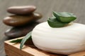Aloe vera soap Royalty Free Stock Photo