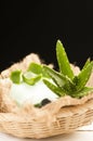 Aloe vera soap Royalty Free Stock Photo