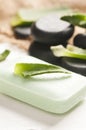Aloe vera soap Royalty Free Stock Photo