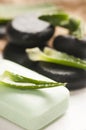 Aloe vera soap Royalty Free Stock Photo