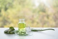 Aloe vera spa treatments on white wooden table. Healthcare and body therapy massage relaxation concept. Beauty and Healthy theme. Royalty Free Stock Photo