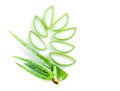 Aloe vera spa use. Royalty Free Stock Photo