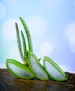 Aloe vera spa use. Royalty Free Stock Photo