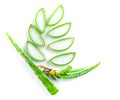 Aloe vera spa use. Royalty Free Stock Photo