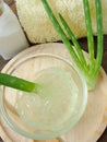 aloe vera spa Royalty Free Stock Photo