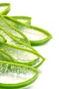 Aloe Vera,Thai herbal medicine.