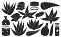 Aloe vera vector black set icon. Vector illustration cactus on white background. Isolated black set icon aloe vera. Royalty Free Stock Photo