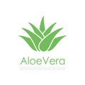 Aloe vera vector logo Royalty Free Stock Photo