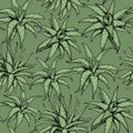 Aloe vera vector seamless pattern. Hand drawn graphic plants with black contour on green background. Vintage succulent Royalty Free Stock Photo