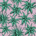 Aloe vera vector seamless pattern. Hand drawn green leaves on pink background. Muted color succulent drawing. Vintage Royalty Free Stock Photo